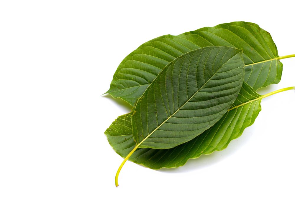 kratom  (4)